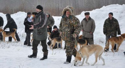 План выставок охотничьих собак на 2023 год