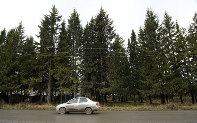 Чтобы построить здание, вырубили больше 80 деревьев — по словам Владимира Аристова, они уже отживали своей век. Фото// архив revda-info.ru