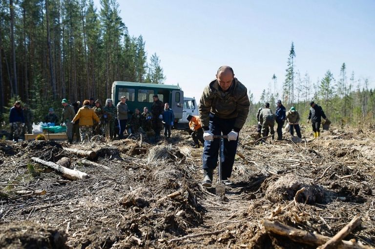 Оку данковское лесничество