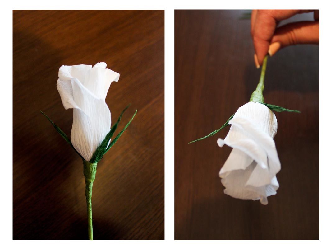 Проект розы из бумаги