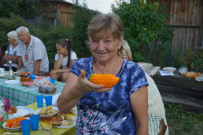 Таня на летних каникулах приезжает к дедушке в деревню антоновка на плане обозначена цифрой 1