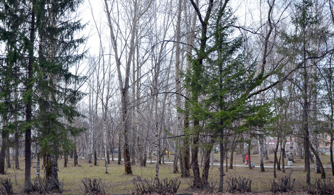 На плане парка изображены цветники имеющие одну и ту же площадь равную 24 м2