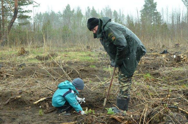 Форма лесничего в россии фото