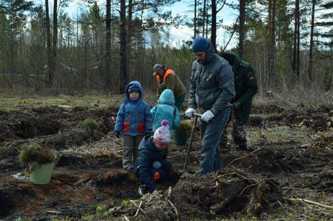 Выполнив план на 25 процентов трактористы вспахали 144 га сколько земли нужно вспахать чтобы