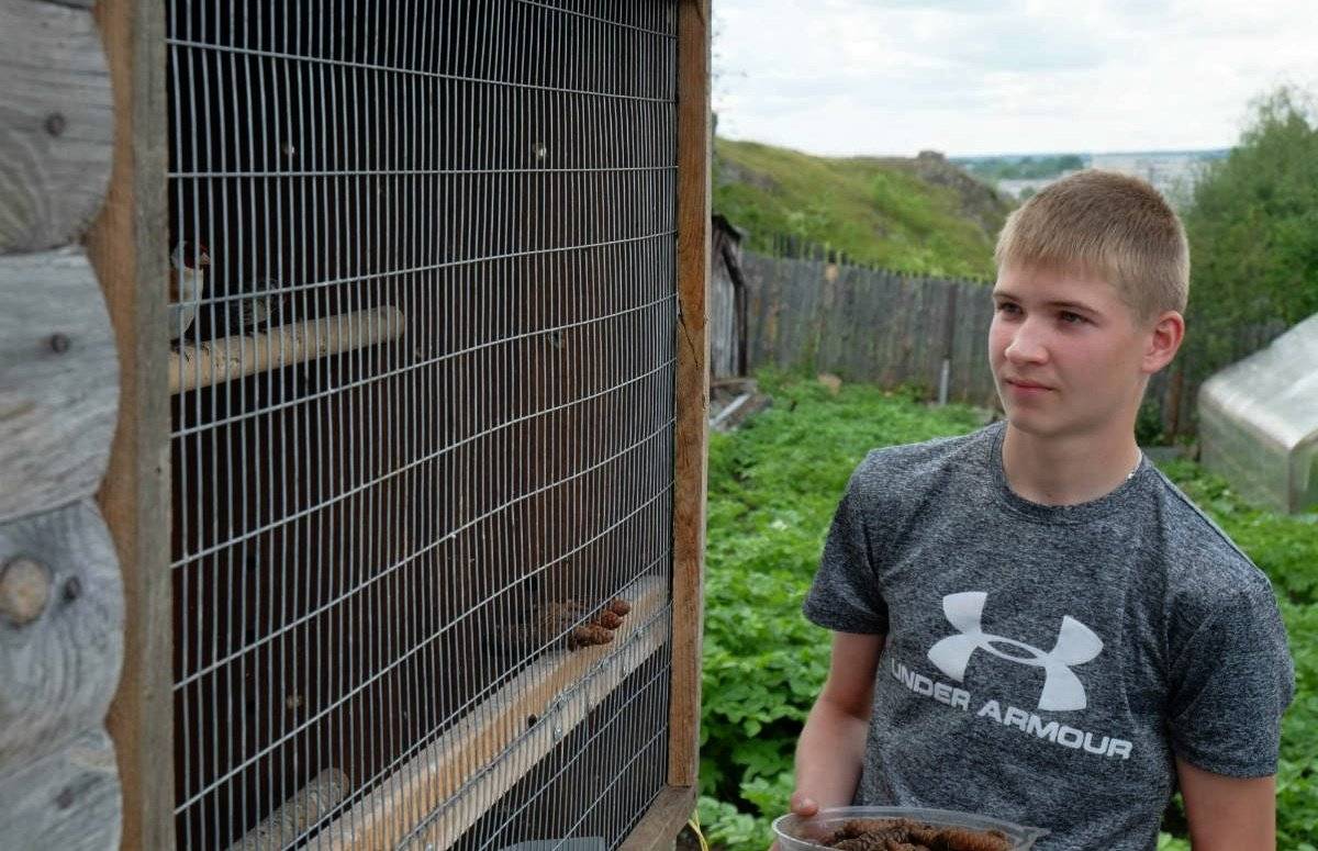 Новый человек для птиц — стресс»: у 16-летнего ревдинца живут пернатые  питомцы — Ревда-инфо.ру