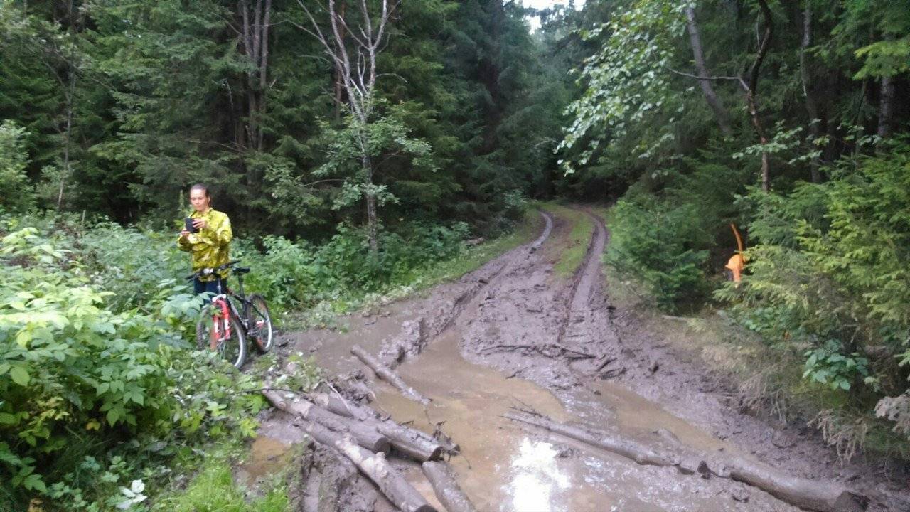 Фото велопрогулки на природе