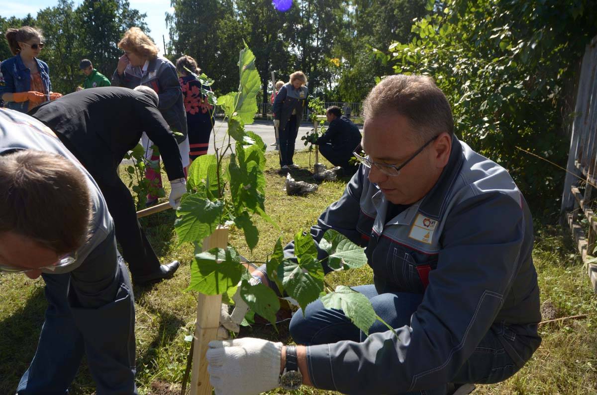 Врачи 13 поликлиники екатеринбург