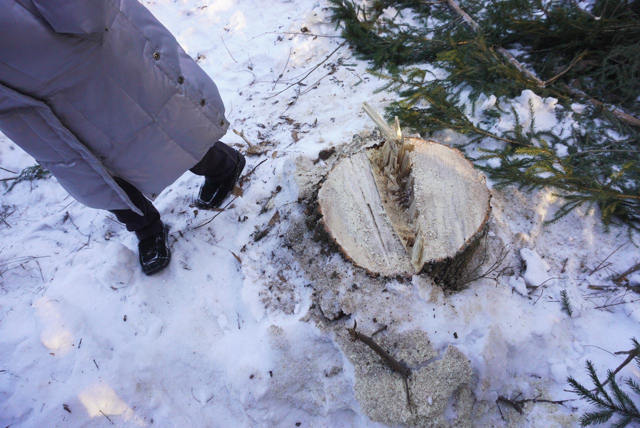 Как быстро рубить деревья в the forest