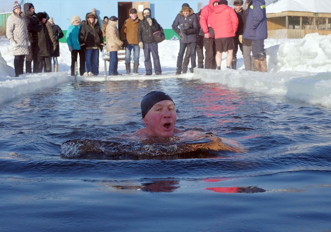 липецкие моржи. моржи новости. вельяминовские моржи. моржи новости. моржи косино.