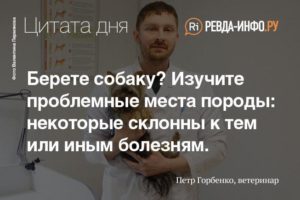 Фисташки слабят или крепят стул