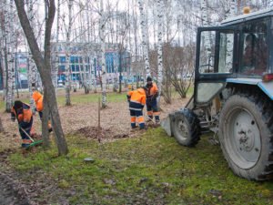 Толстый слой сухой листвы был на скамейках газонах ямах