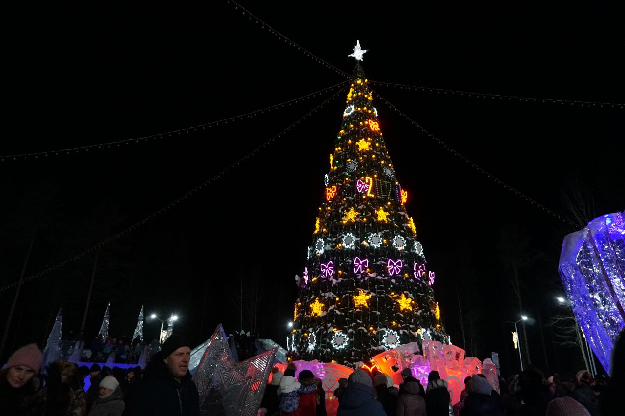 Червяки на елках фото