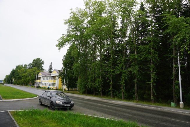 В Ревде уберут 178 аварийных деревьев: яблонь, тополей, лип — Ревда-инфо.ру