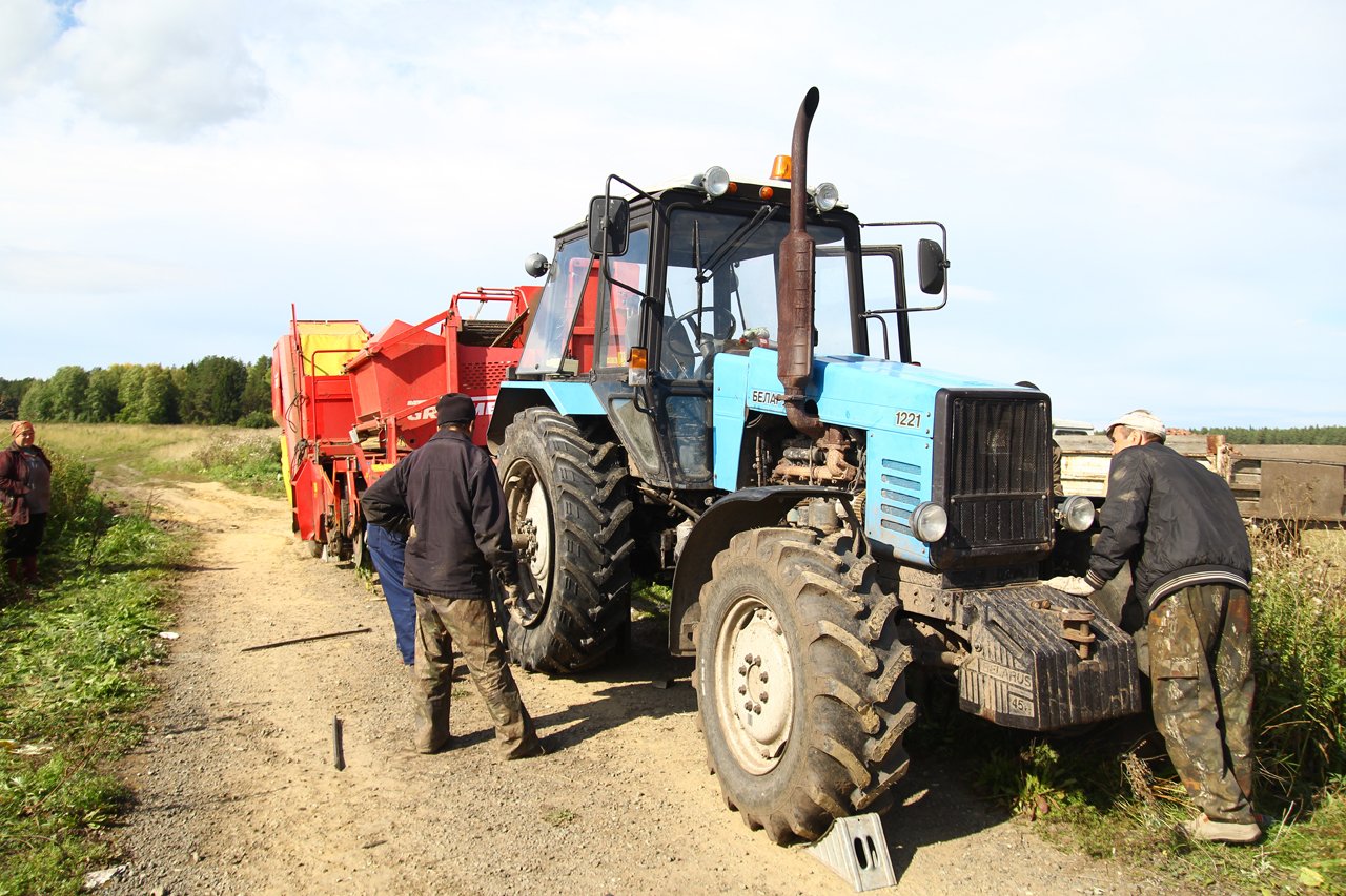В аграрных районах Свердловской области введен режим ЧС из-за засухи. В том числе в Ревде