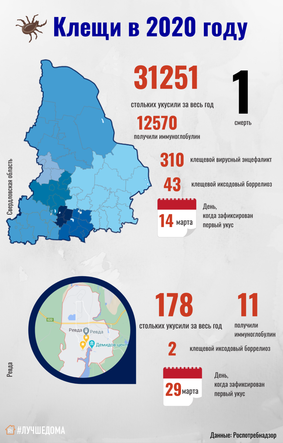 На Среднем Урале проснулись клещи. Первой укусили женщину в ...