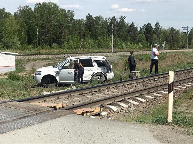 Голубь попал под машину