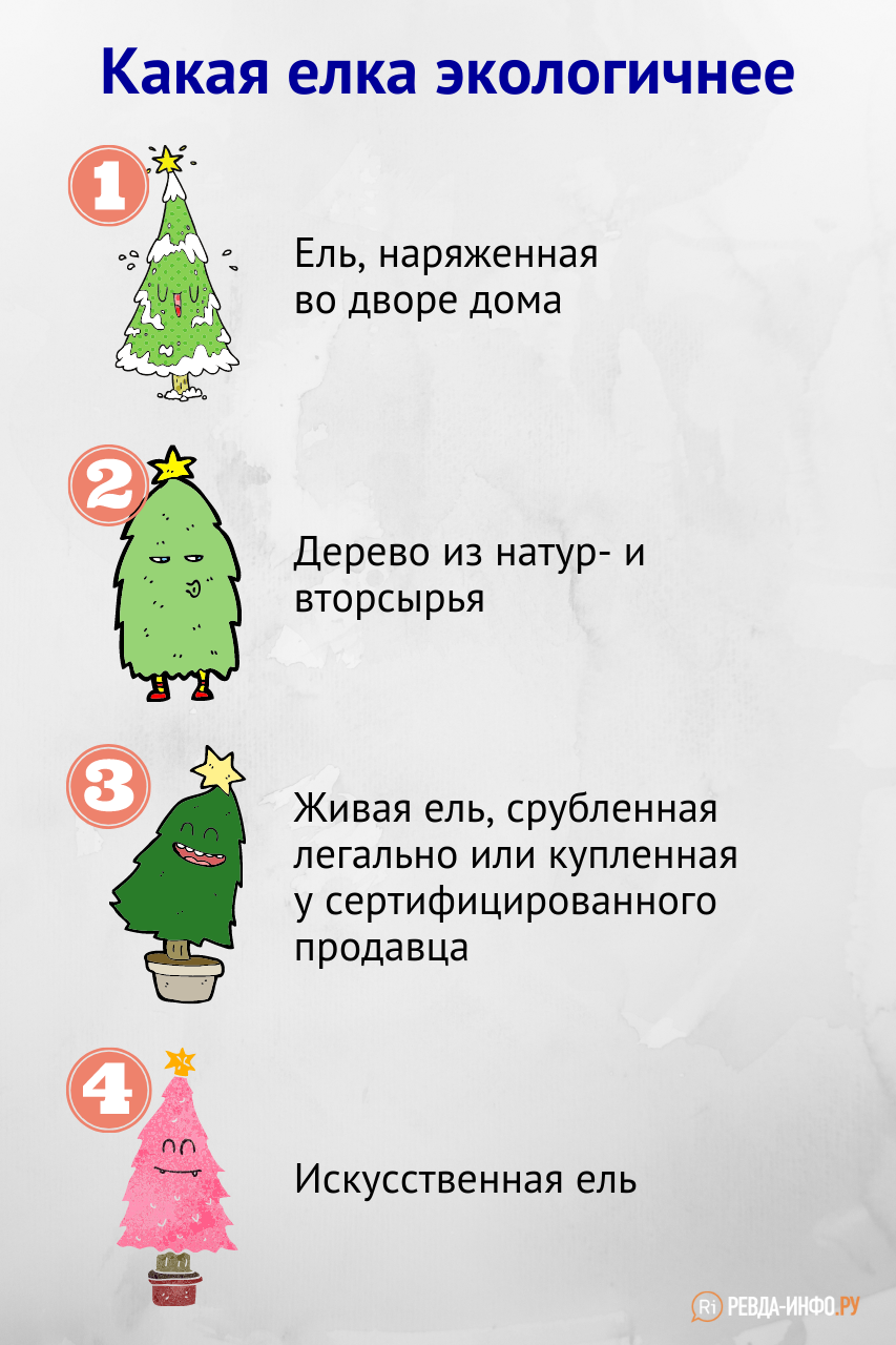 Где, как и за сколько в Ревде можно легально срубить новогоднее дерево? —  Ревда-инфо.ру