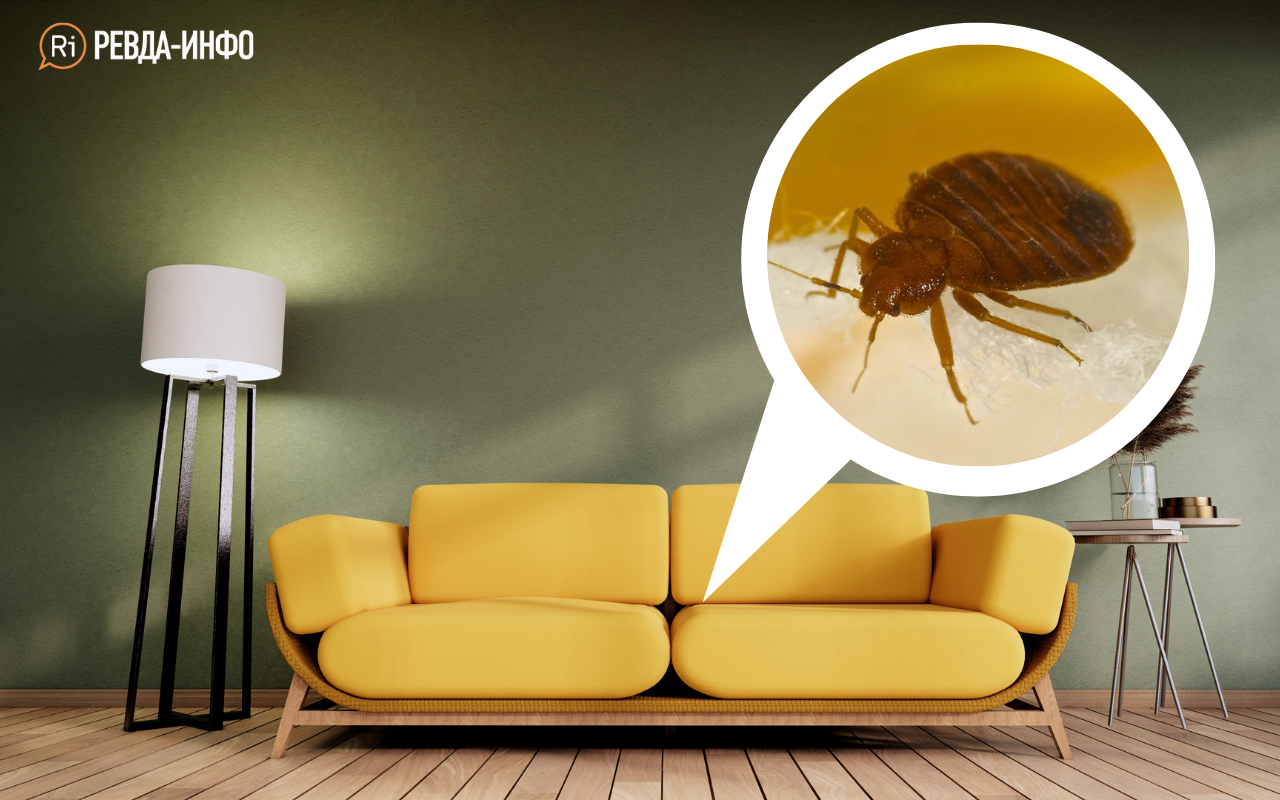 «Пришлось снимать потолки и перекладывать плинтус». Ревдинцы — о том ...