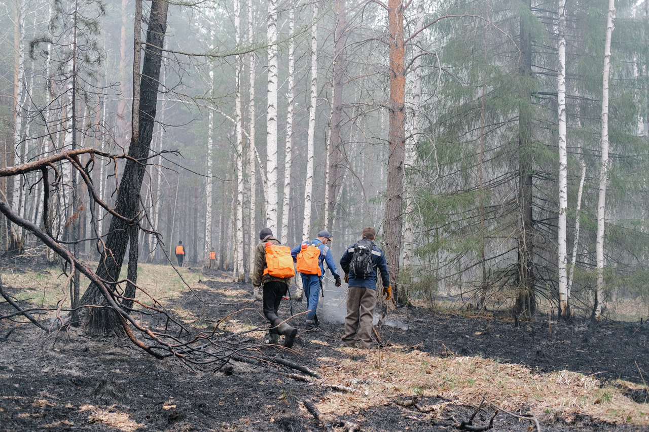 В Свердловской области продолжают гореть леса. Почему? — Ревда-инфо.ру