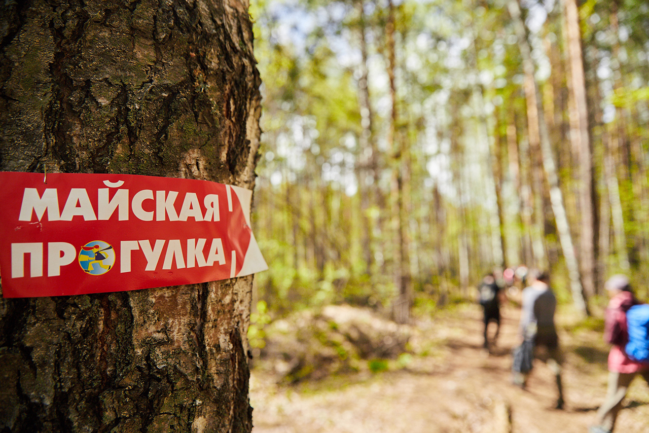 Кросс нации», «Майская прогулка» и много кино: куда пойти ревдинцам в  выходные | 15.09.2023 | Ревда - БезФормата