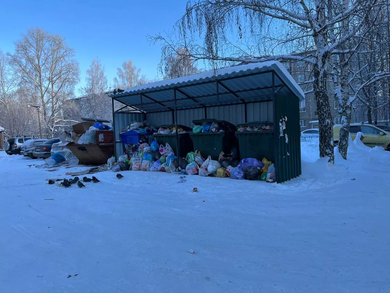 В Ревде выбрали главного по мусоркам. Рассказываем, кто получил контракт —  Ревда-инфо.ру