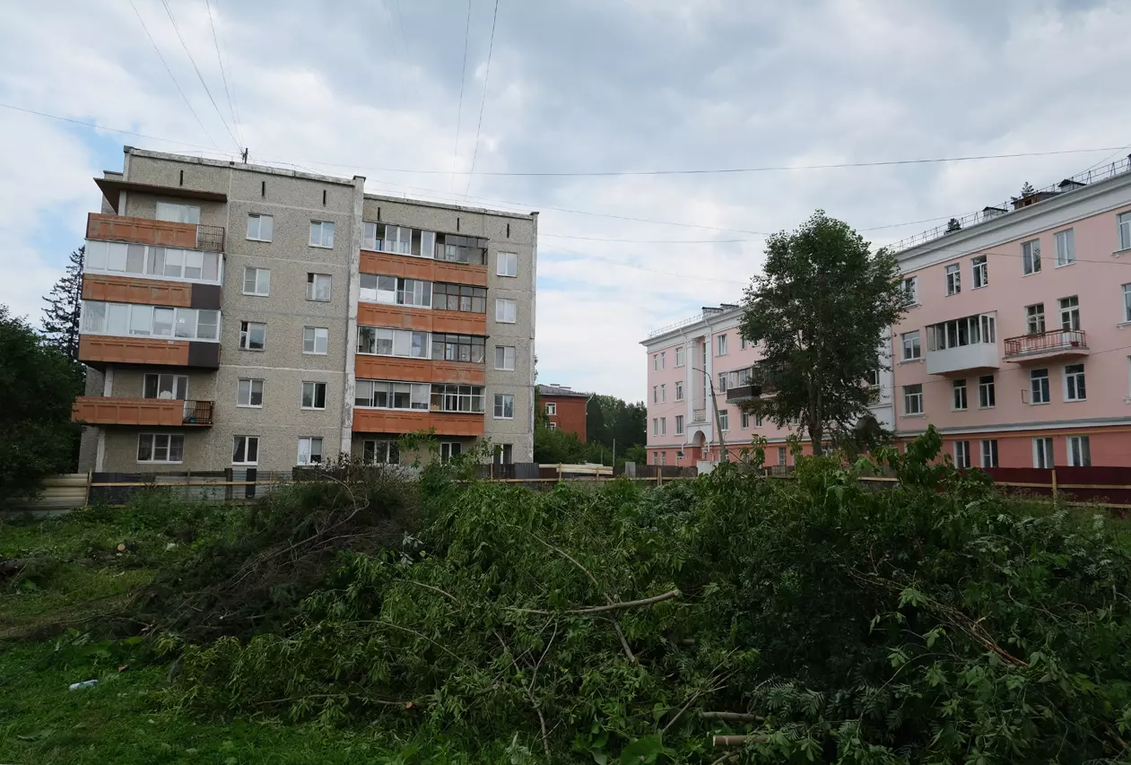 Около домов на Энгельса рядом с Ледовой ареной вырубили деревья. Там ...