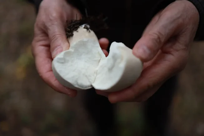 photo_2025-09-26_15-30-10